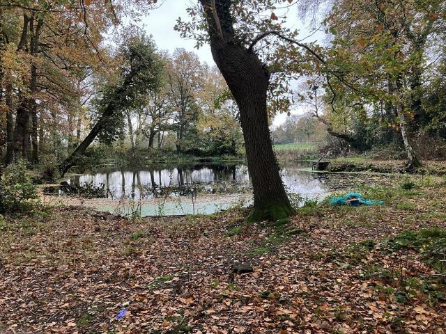 Land for rent in Hoo Green