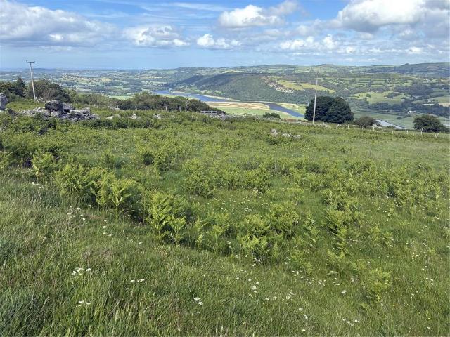 Land for rent in Caerhun, Dolgarrog