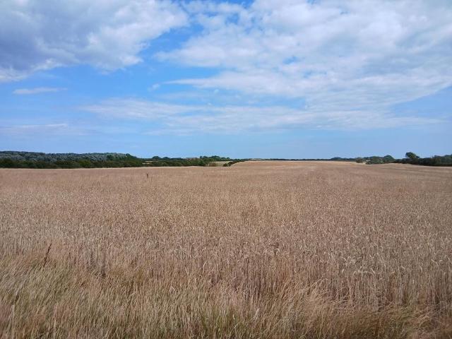 Land for rent in Flamborough, East Riding Of Yorkshire