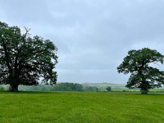 Land for rent in Bruton, Somerset