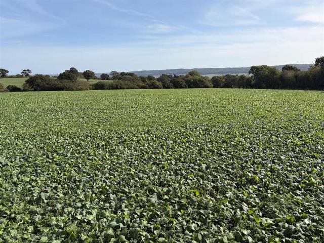 Land for rent in Church Preen, Cardington
