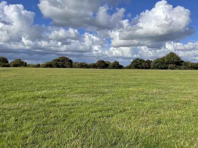 Land for rent in St James, Shaftesbury