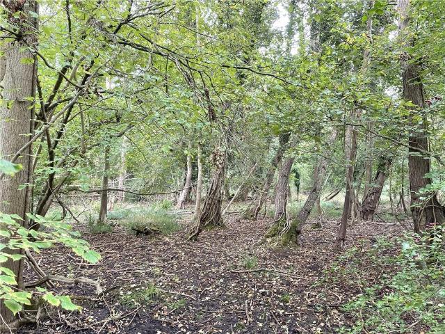 Land for rent in Arrington, Cambridgeshire