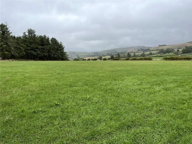 Land for rent in Rhayader