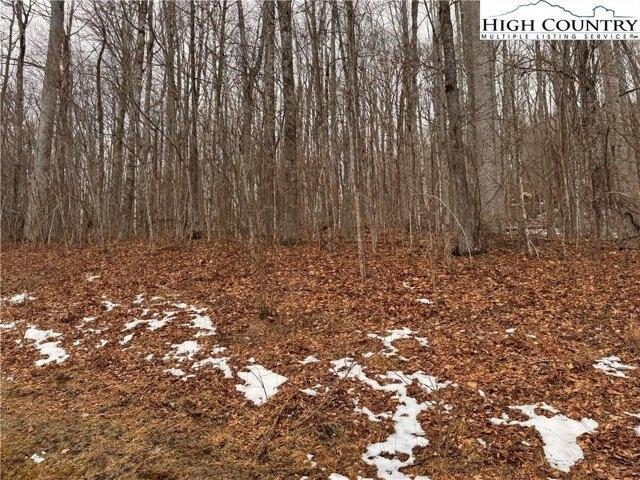 Land for sale in Todd, North Carolina