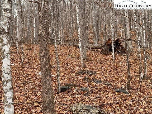 Land for sale in Todd, North Carolina