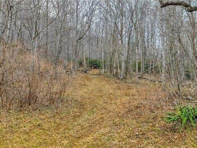 Land for sale in Todd, North Carolina
