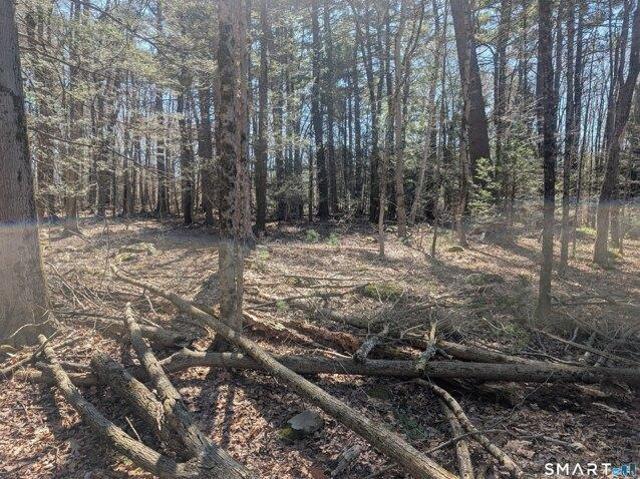 Land for sale in Torrington, Connecticut