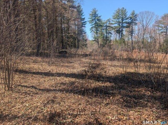 Land for sale in Torrington, Connecticut