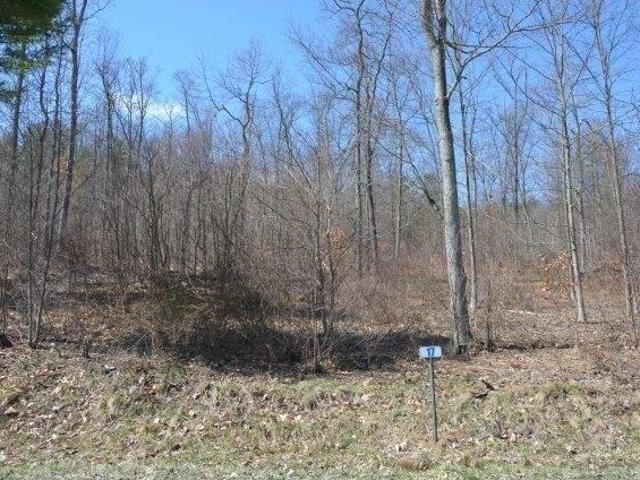 Land for sale in Bradford, Pennsylvania