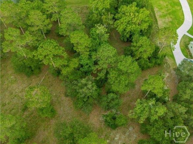 Land for sale in Georgia
