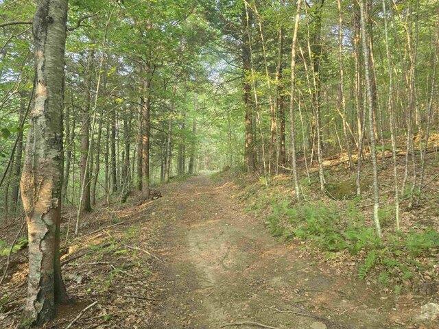 Land for sale in Vermont