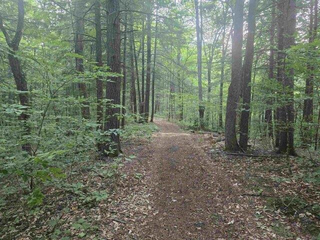 Land for sale in Vermont