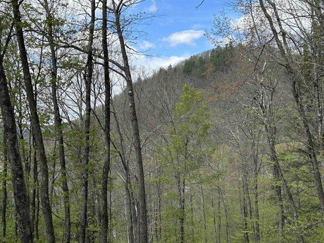 Land for sale in Townshend, Vermont