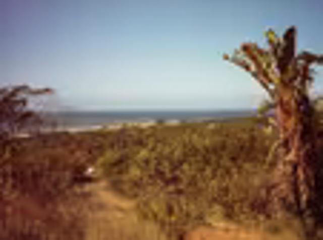 Land for sale in Trafalgar, Hibiscus Coast Local Municipality