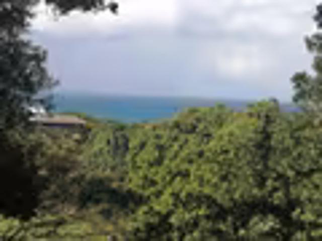Land for sale in Trafalgar, Hibiscus Coast Local Municipality