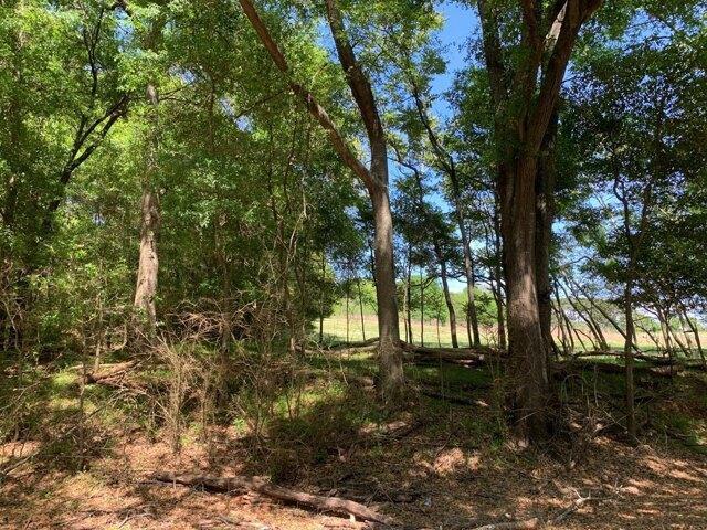 Land for sale in Alabama