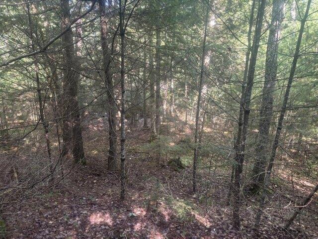 Land for sale in Hales Corner, Troy