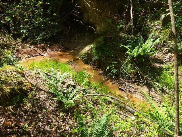 Land for sale in Tryon, North Carolina