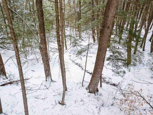 Land for sale in Tunbridge, Vermont