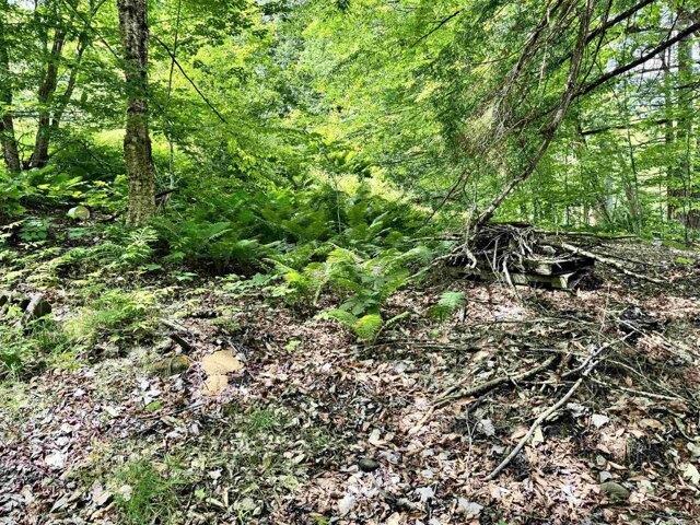 Land for sale in Tunbridge, Vermont