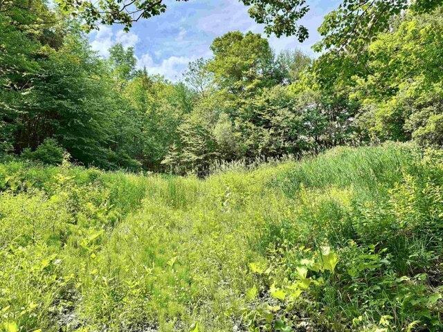 Land for sale in Tunbridge, Vermont