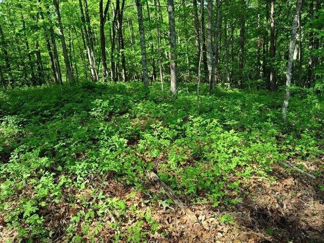 Land for sale in Tennessee