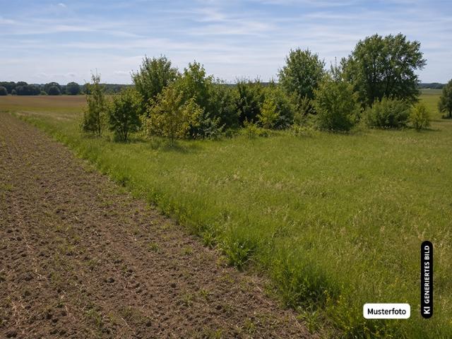 Landwirtschaft kaufen in Hüngersdorf, Blankenheim