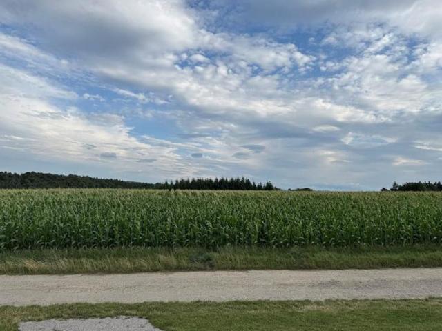 Landwirtschaft kaufen in Asperhofen, Niederösterreich