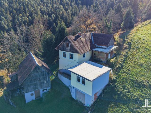 Landwirtschaft kaufen in St. Martin am Wöllmißberg, Steiermark