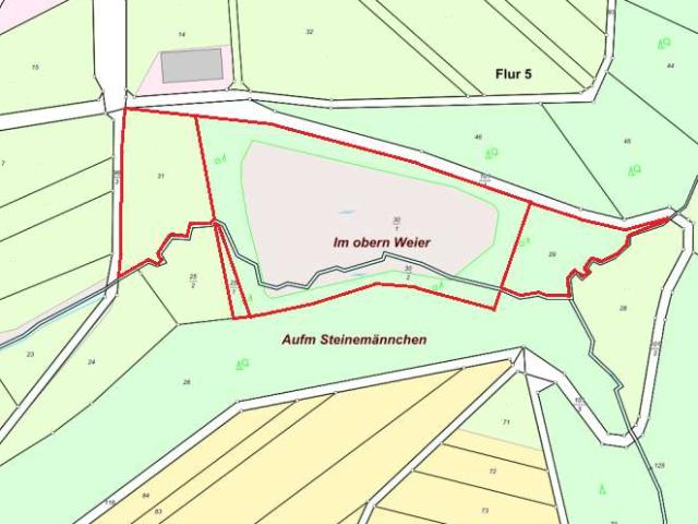 Erdgeschosswohnung kaufen in Lamscheid, Leiningen
