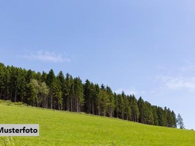 Grundstück kaufen in Pinkafeld, Burgenland