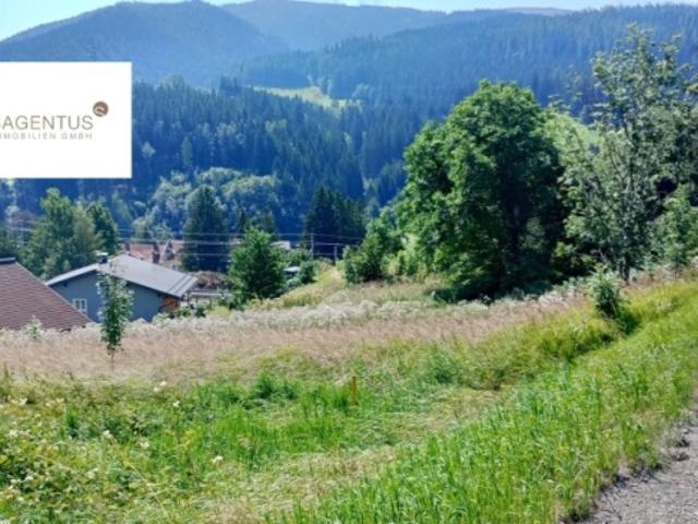 Landwirtschaft kaufen in Spital am Semmering, Steiermark