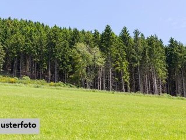 Grundstück kaufen in Trautmannsdorf, Niederösterreich
