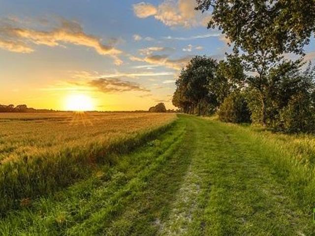 Grundstück kaufen in Trautmannsdorf, Niederösterreich