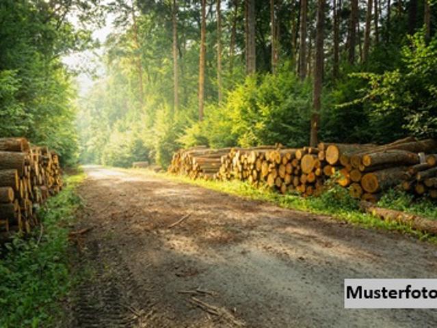 Erdgeschosswohnung kaufen in Nordhausen, Thüringen