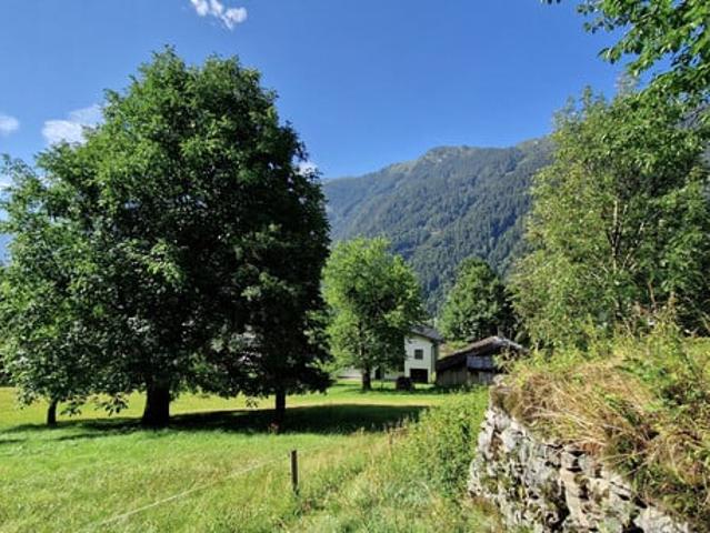 Grundstück kaufen in Gortipohl, St. Gallenkirch