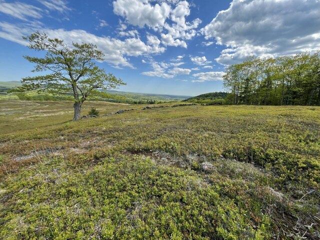 Land for sale in Hope, Maine