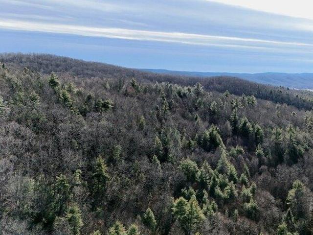 Land for sale in Union, West Virginia