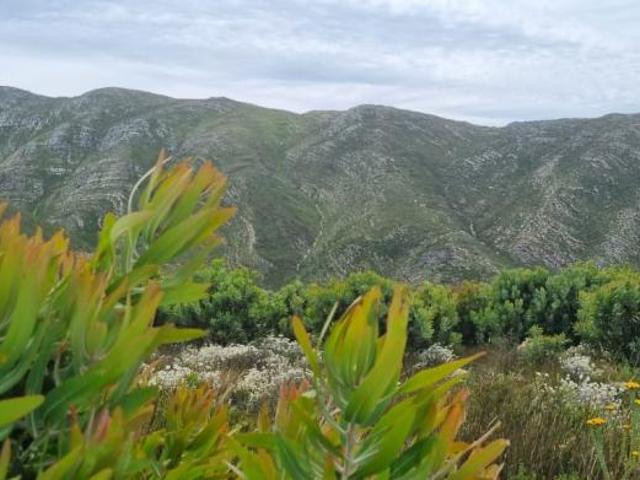 Land for sale in Groot Brak Rivier, Western Cape