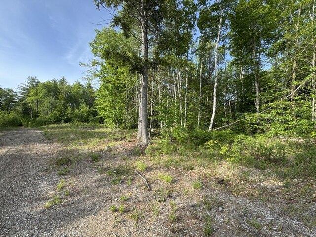 Land for sale in Waldo, Maine