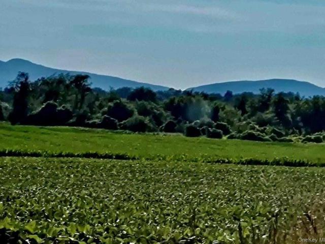 Land for sale in Livingston, New York