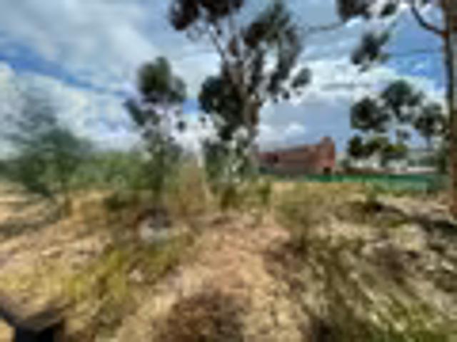 Land for sale in Gert Sibande, Mpumalanga