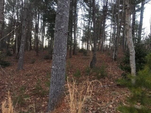 Land for sale in Valdese, North Carolina