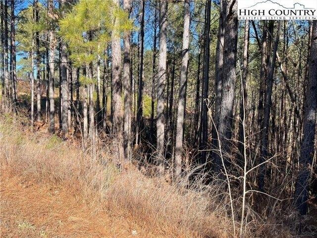 Land for sale in Valdese, North Carolina