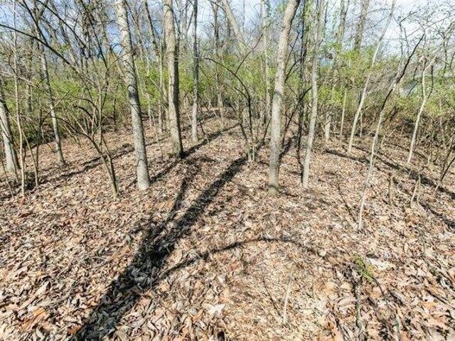 Land for sale in Valley Park, Missouri