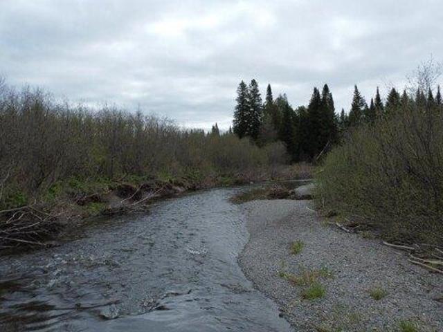 Land for sale in Van Buren, Maine