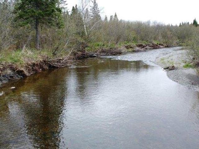 Land for sale in Van Buren, Maine