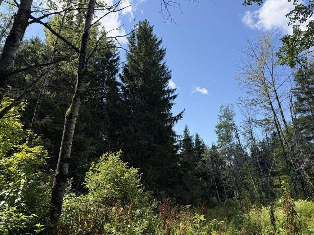 Land for sale in Van Buren, Maine
