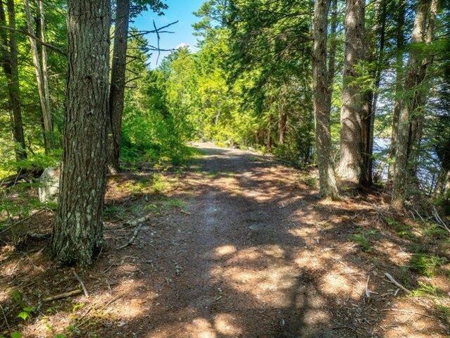 Land for sale in Vanceboro, Maine